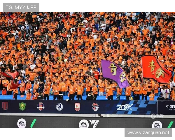 体育保华超联赛（保超联赛积分榜）sports